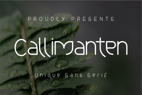 Callimanten: The Curved Sans Serif Font for Campaigns