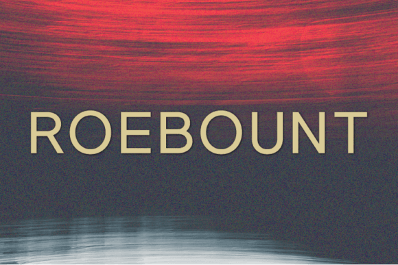 Roebount: A Modern Sans Serif Typeface for Brands